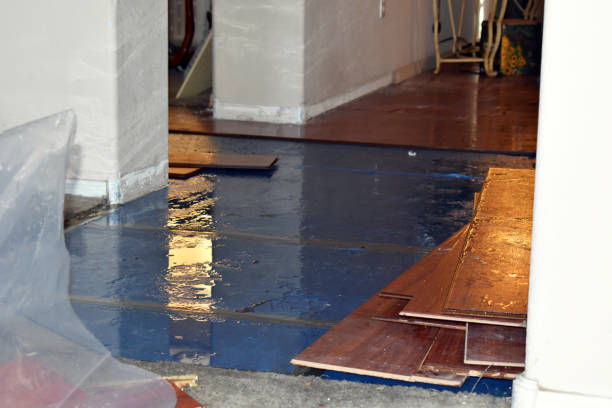Professional Water Damage Restoration technician working in Abbott, TX